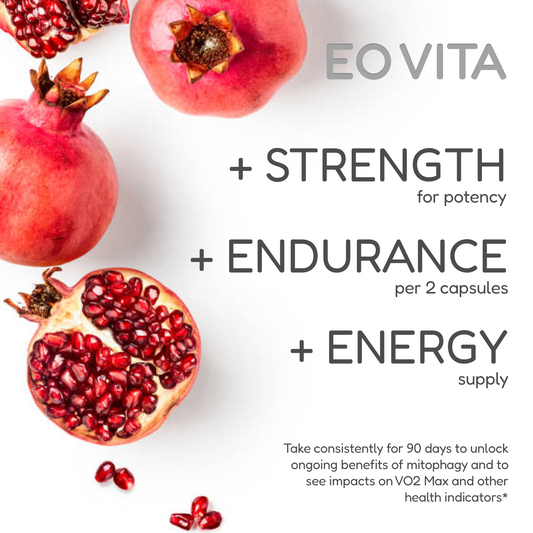 Urolithin A Capsules