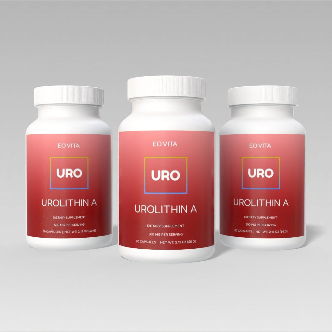 Urolithin A for Energy and Mitochondrial Health