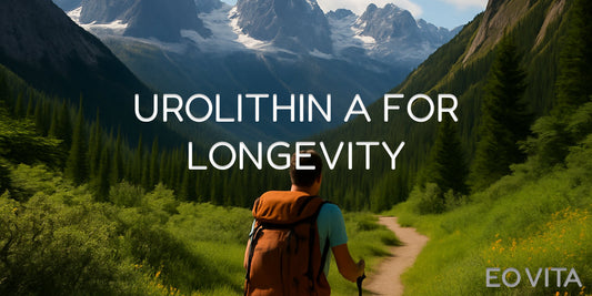 Urolithin A and Healthy Aging