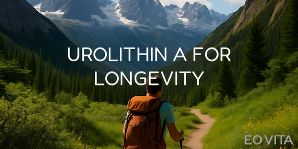 Urolithin A and Healthy Aging
