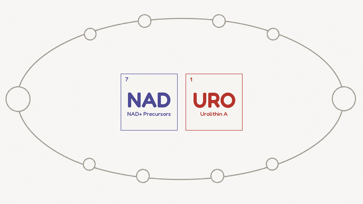 Line diagram of a redox cycle carrying electrons between two states, beside the NAD and URO compound tiles