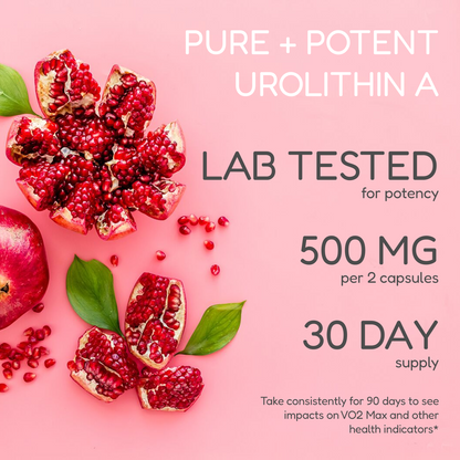 Urolithin A Capsules